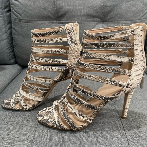 BCBG - Picture 5 of 5